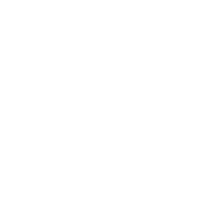 Get your guide